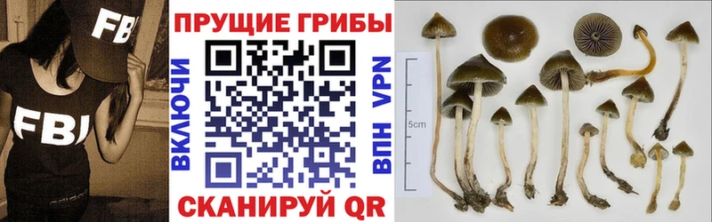 Псилоцибиновые грибы ЛСД  дарк нет формула  МЕГА   Семилуки  дарнет шоп 