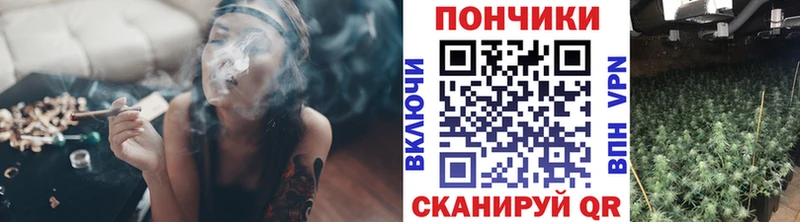 Шишки марихуана план  наркошоп  Семилуки 